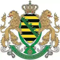 ✏️ Freie Sachsen Elbflorenz 🤍💚 Region Dresden Profile