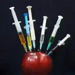 Gesund ohne Medikament Profile