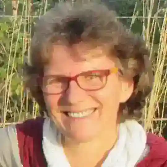 Homeschooling wagen Profile