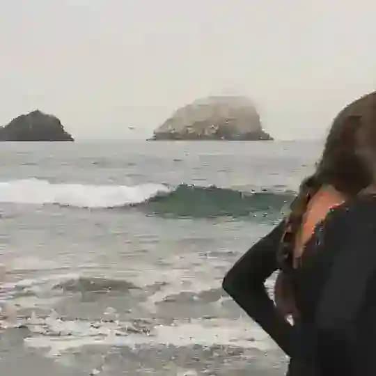 Rita’sꨄ︎ Profile