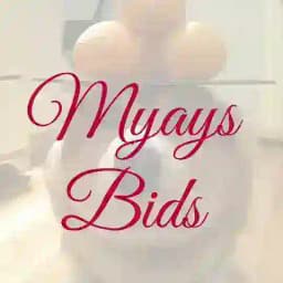 MYAYS BIDS Profile