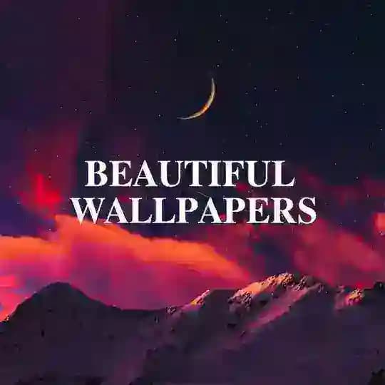 ФОНЫ ДЛЯ МАКЕТОВ Profile