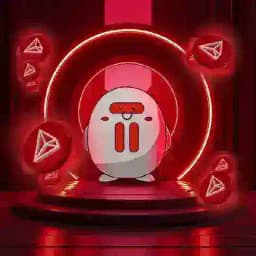 Bull Entrance Profile