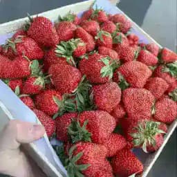 Вкусный мир 😋 Profile