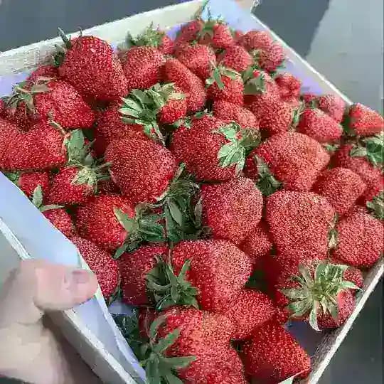 Вкусный мир 😋 Profile