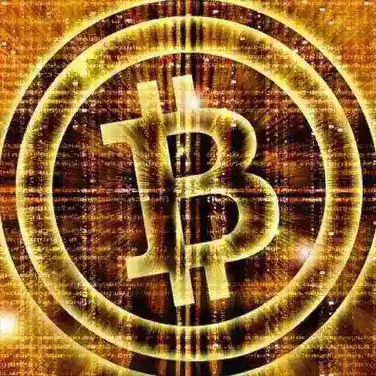 Bitcoin Chat CN Profile