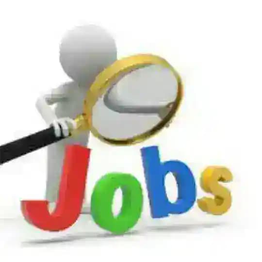 Jobs & Entrepreneur's Journey Profile