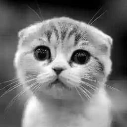 Общение пиар Profile