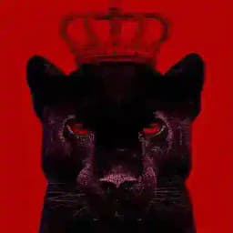 ВЗАИМНАЯ ПОДПИСКА | РЕАКЦИИ Profile