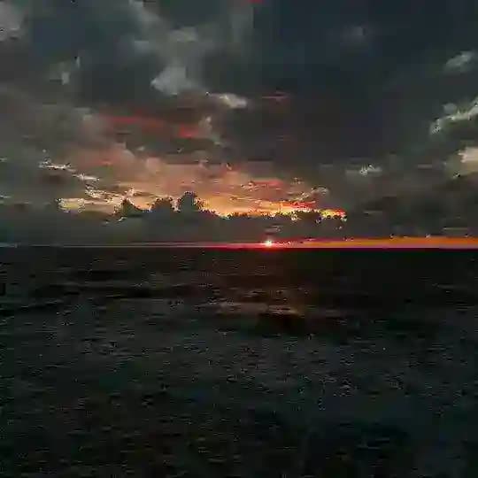 Free РЕКЛАМА 🕊️ Profile