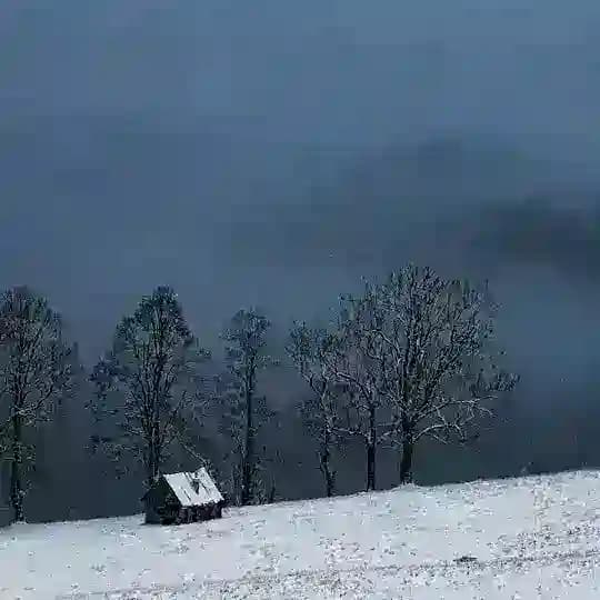 Пиар Чатов Каналов | ВП и Ссылки Profile