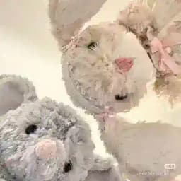 𝓵'𝓼 brandy 🎀 Profile