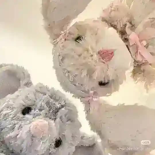 𝓵'𝓼 brandy 🎀 Profile