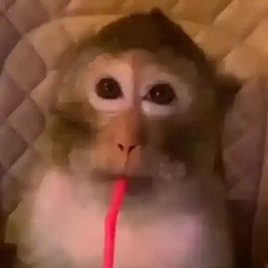 Adopt Me~Murder Mystery Profile