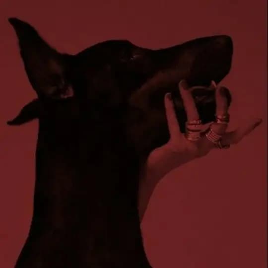 ☾ꜱᵢᵣᵢ𝑛 𝑠ₒⲏ𝑏ə𝑡𝄞𓃭 Profile