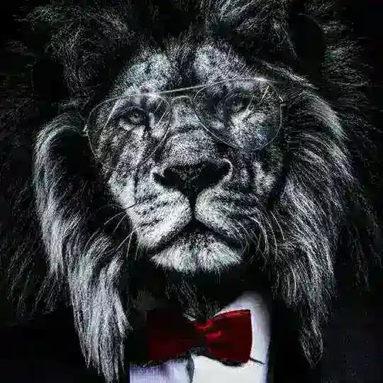 ➿අපි ශ්‍රී ලන්කා 🔱 බොය්ස් ඇන්ඩ් ග්‍රල්ස් ✴️ Profile