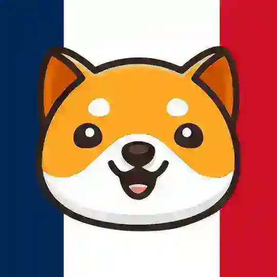 🇨🇵 BABYDOGE OFFICIEL 🇨🇵 Profile