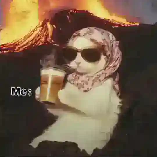 مناقشات عامة Profile