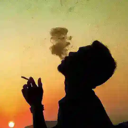 𝐀𝐢𝐫𝐥𝐢𝐧𝐞𝐬 𝐓𝐋 ㅤ✿ Profile