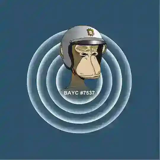 BAYC AI($BAYC CTO) Profile