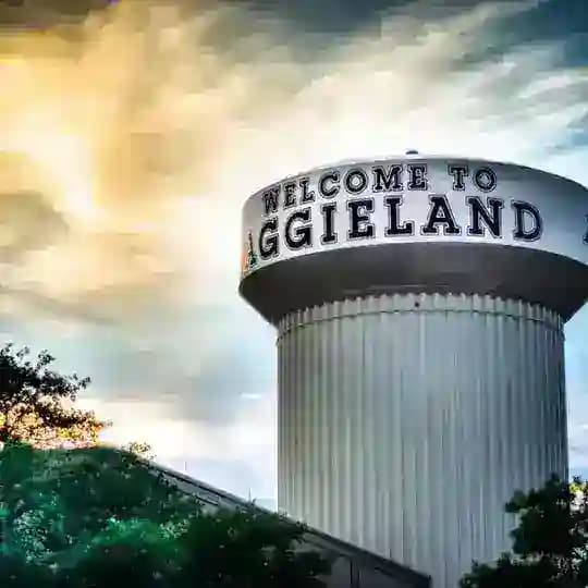 BCS 25+ Screening Room Profile