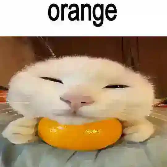 Orange 😍 ПЕРЕЕЗЖАЕМ. НОВЫЙ ЧАТ - @beseda_vau Profile