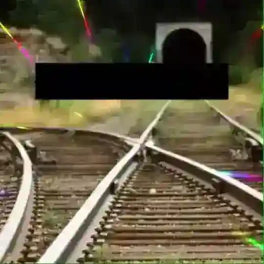 ʀᴀʏᴅᴀɴ ᴄ̧ıᴋᴀɴʟᴀʀ Profile