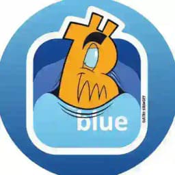 Blue Wallet Official Profile