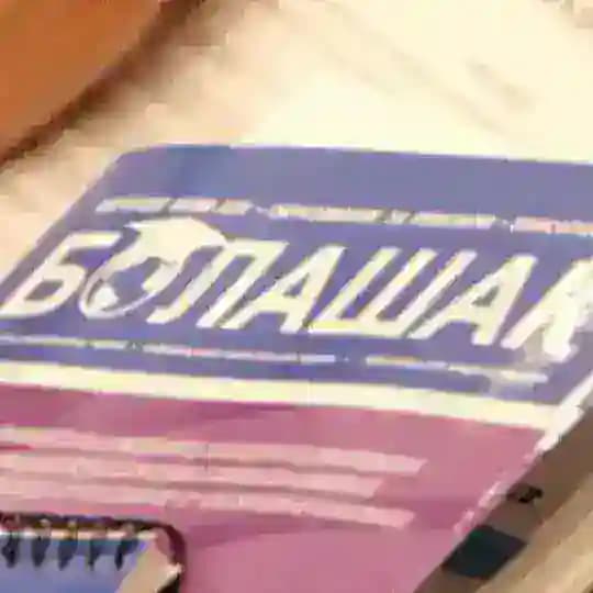 Bolashak Applicants Profile