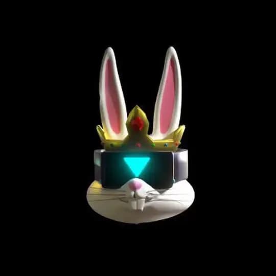 Bunny King Of Metaverse Profile