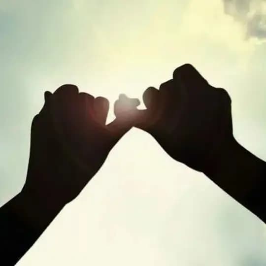 Cari Kawan Sehat Profile