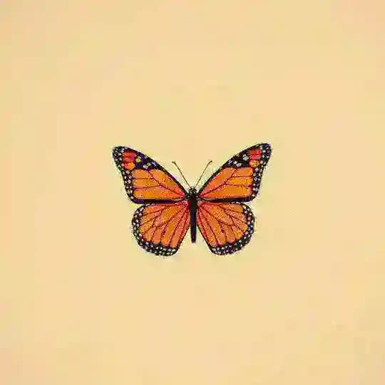 ᴄᴀʀɪ ᴊᴏᴅᴏʜ ᴏɴʟɪɴᴇ Profile