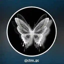 CARI TEMAN NGOBROL ONLINE Profile