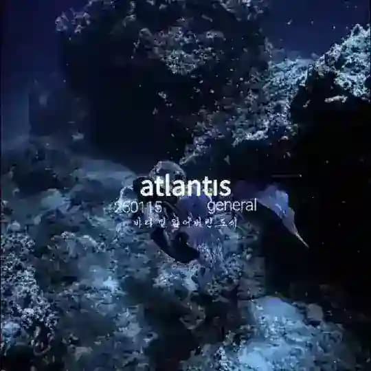 ㅤㅤ‌‌‌ㅤatlantıs . Profile