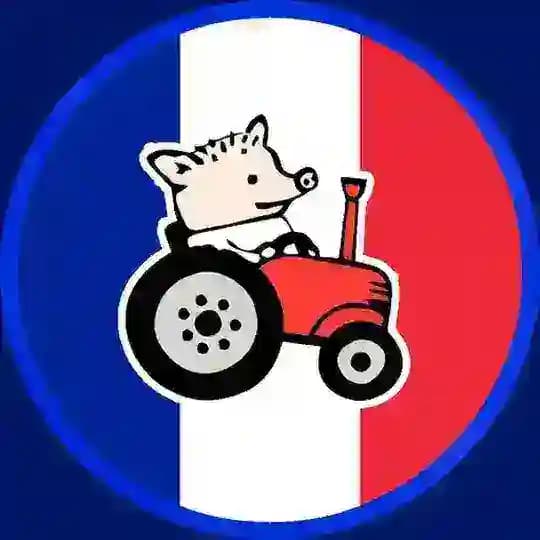 C'est la France Profile