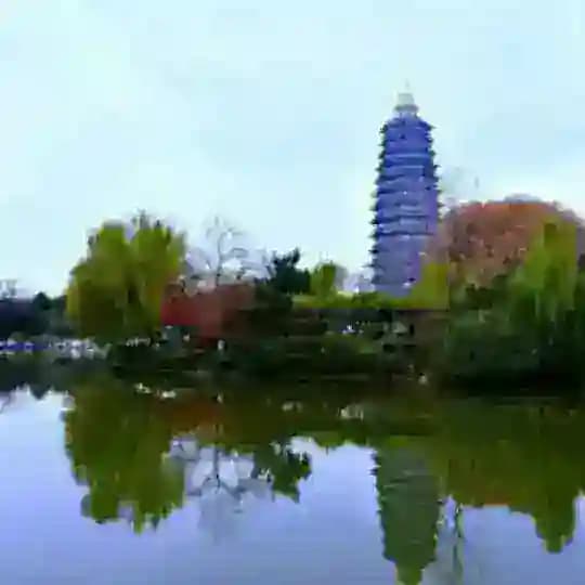 常州红梅公园逛逛 Profile