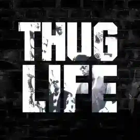 😎Thug life chatting group Profile