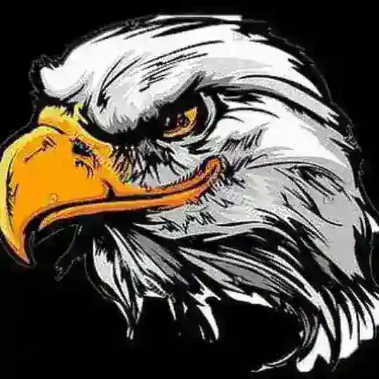 ➖➖ 👑 つ ◕‿◕ ༽つChennaiCordCutters つ ◕‿◕ ༽つ 👑➖➖ Profile