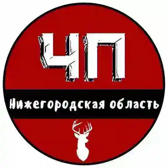 ЧП Нижний Новгород - ЧАТ Profile