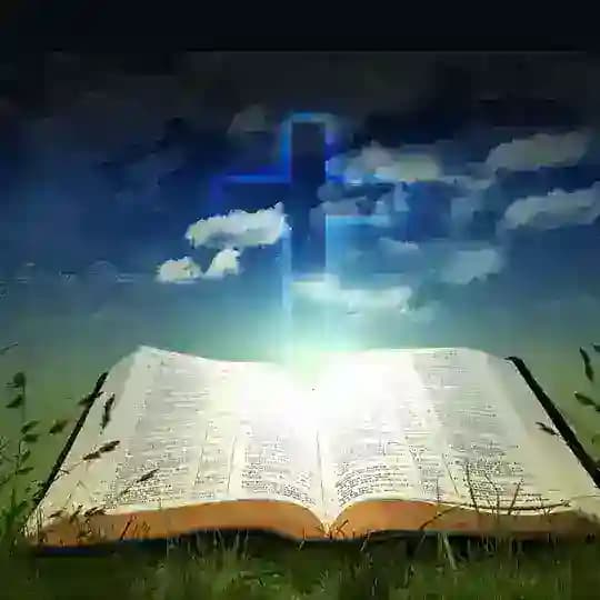 Bible Discussions Profile