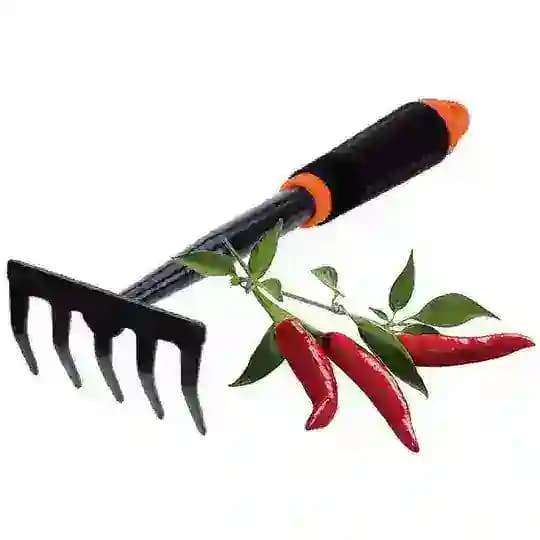 Coltivazione & Consigli Profile