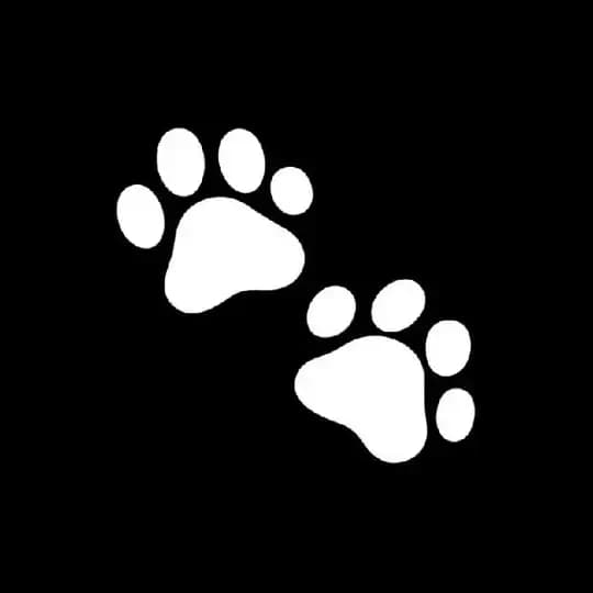 DAILY COMBO & CIPHER Profile