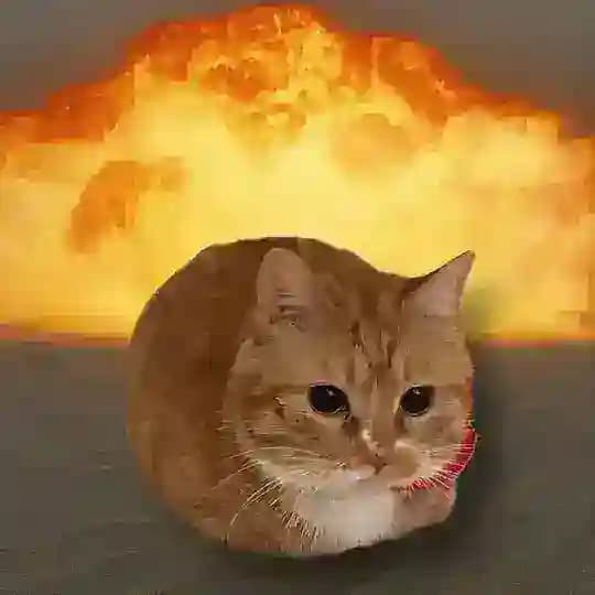 𝗖𝗔𝗥𝗜 𝗧𝗘𝗠𝗔𝗡 𝗥𝗢𝗕𝗟𝗢𝗫 Profile