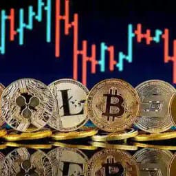 Kripto Evreni🍀💲💰💵💸 Profile