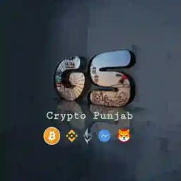 Crypto Punjab discussion Profile