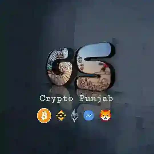 Crypto Punjab discussion Profile