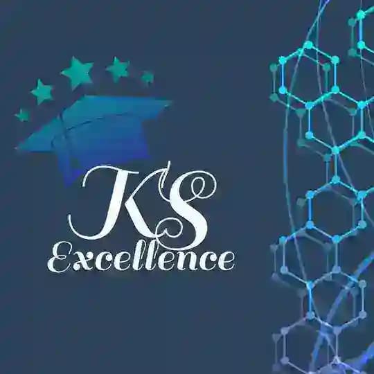 KS EXCELLENCE ( ICSI) Profile