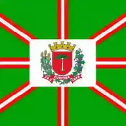 Curitiba chat / namoro / negócios Profile