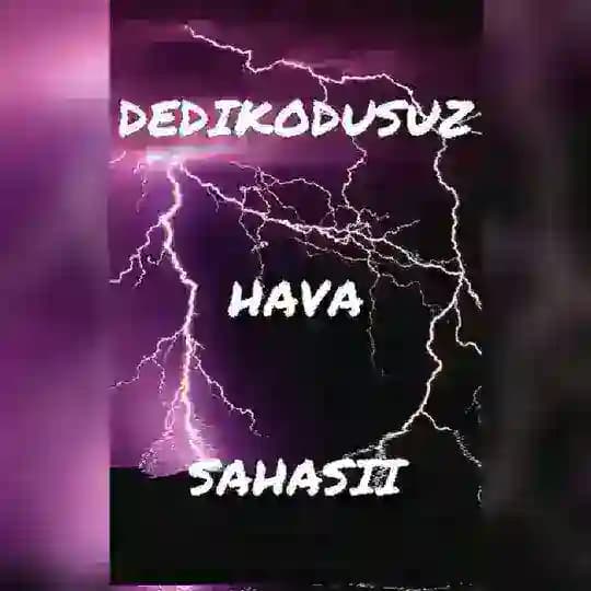 ᴅᴇᴅɪᴋᴏᴅᴜsᴜᴢ ʜᴀᴠᴀ sᴀʜᴀsı Profile