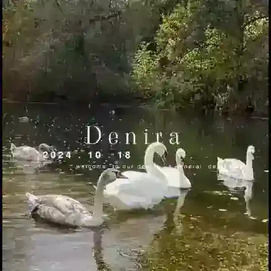 ‌ ‌‌ ‌‌ ‌ ‌ ‌‌ ‌‌ ‌ ‌ ‌ ‌ ‌ ‌𝖽𝖾𝗇ı𝗋𝖺 Profile